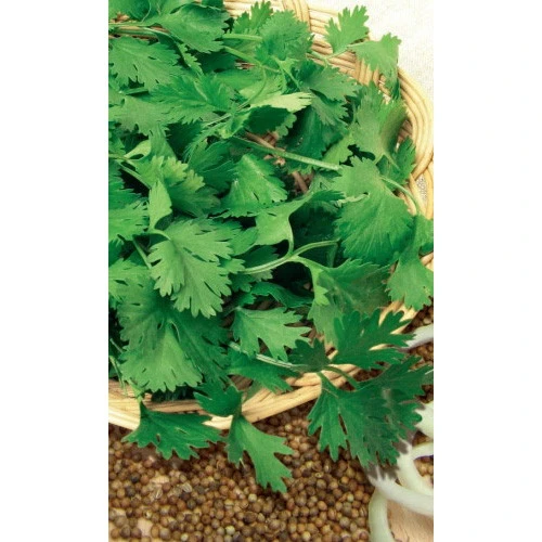 Семена Кориандр (кинза) Авангард 2гр (УД) Е/П