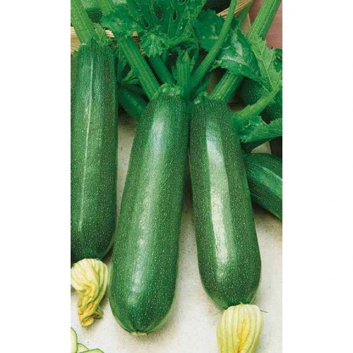 Семена Кабачок Скворушка - цуккини 2гр (Марс) Б/П