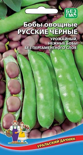 Семена Бобы Русские черные 6шт (УД)  Е/П