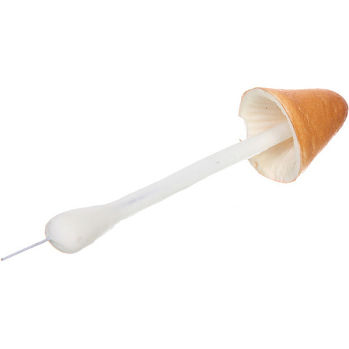 Фигура на спице ГРИБ - Маслёнок 14 см_3