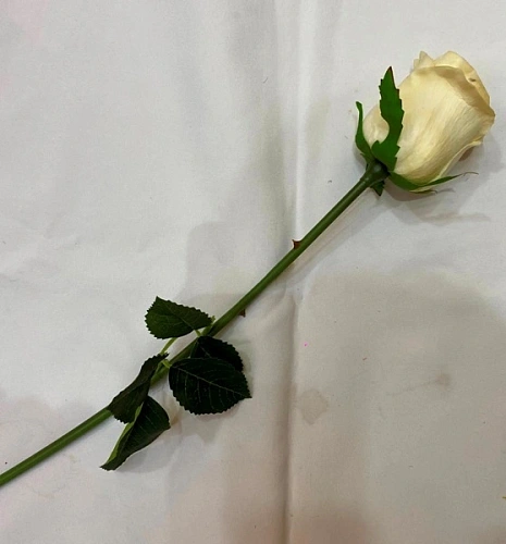 Цветок искусственный "Natur" 50см Розочка белая